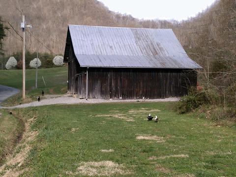 1775 Fodderstack Mountain Loop Greeneville Tn 37745, Greeneville, TN 37745 photo 30