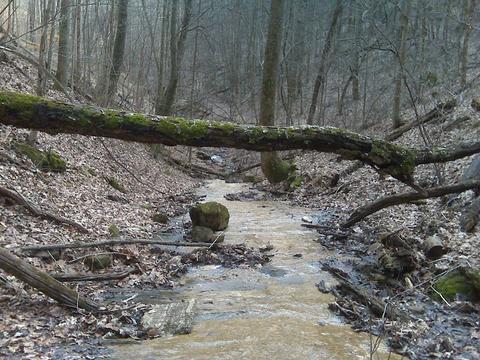 1775 Fodderstack Mountain Loop Greeneville Tn 37745, Greeneville, TN 37745 photo 34