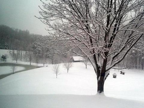 1775 Fodderstack Mountain Loop Greeneville Tn 37745, Greeneville, TN 37745 photo 36
