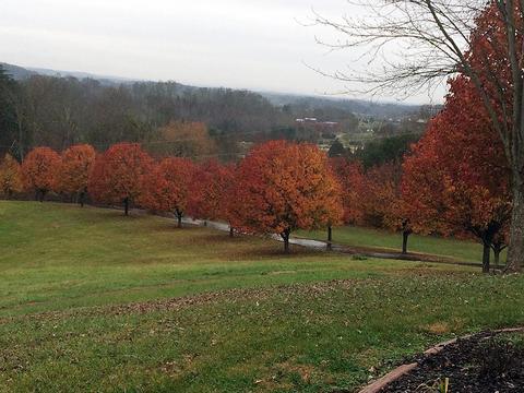 1775 Fodderstack Mountain Loop Greeneville Tn 37745, Greeneville, TN 37745 photo 23
