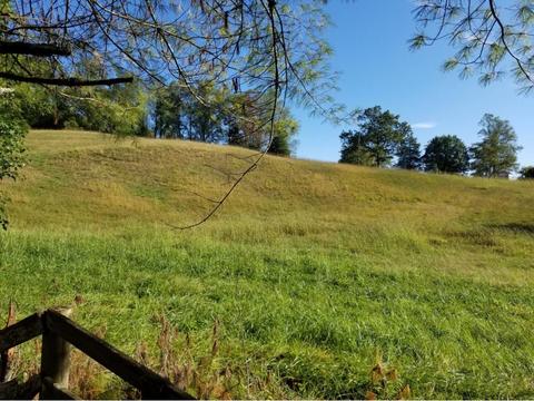 960 Purchase Ridge Road Duffield Va 24244, Duffield, VA 24244 photo 2