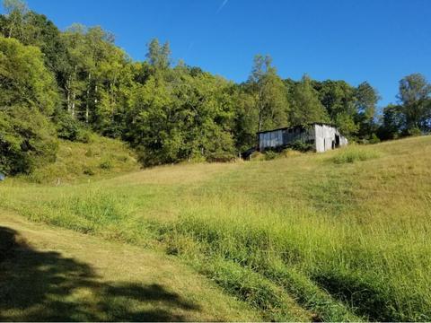 960 Purchase Ridge Road Duffield Va 24244, Duffield, VA 24244 photo 3