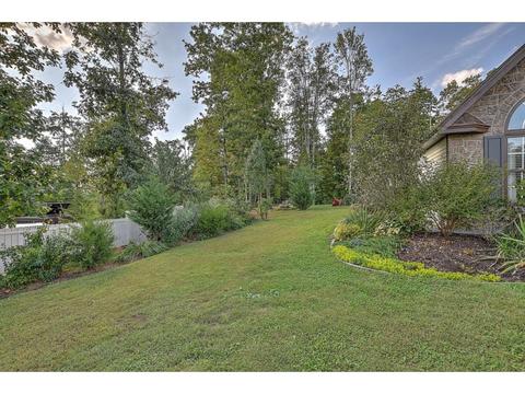 47 Red Foxx Court Telford Tn 37690, Telford, TN 37690 photo 31
