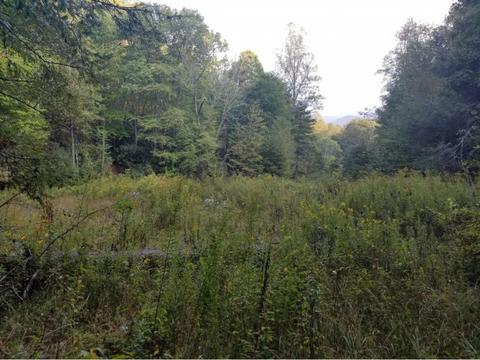 598 Browns Branch Road Hampton Tn 37658, Hampton, TN 37658 photo 7