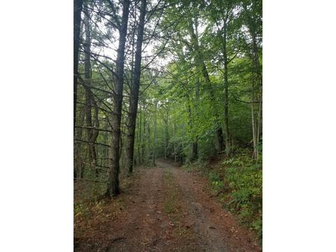 598 Browns Branch Road Hampton Tn 37658, Hampton, TN 37658 photo 1