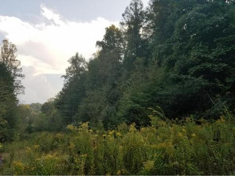 598 Browns Branch Road Hampton Tn 37658, Hampton, TN 37658 photo 11