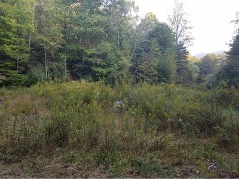 598 Browns Branch Road Hampton Tn 37658, Hampton, TN 37658 photo 6