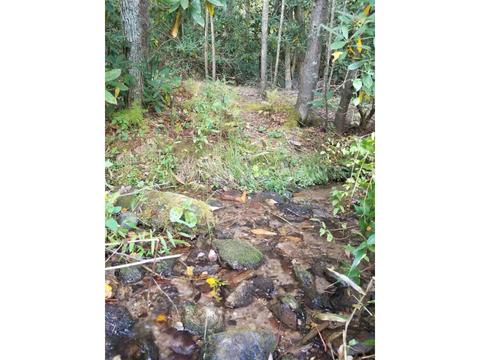 598 Browns Branch Road Hampton Tn 37658, Hampton, TN 37658 photo 8