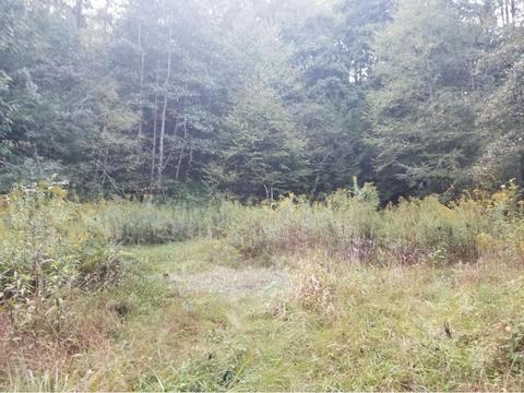 598 Browns Branch Road Hampton Tn 37658, Hampton, TN 37658 photo 5