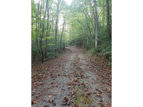 598 Browns Branch Road Hampton Tn 37658, Hampton, TN 37658 photo 2