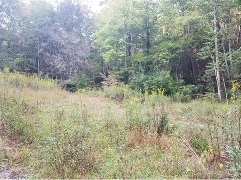 598 Browns Branch Road Hampton Tn 37658, Hampton, TN 37658 photo 4