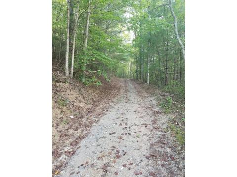 598 Browns Branch Road Hampton Tn 37658, Hampton, TN 37658 photo 14