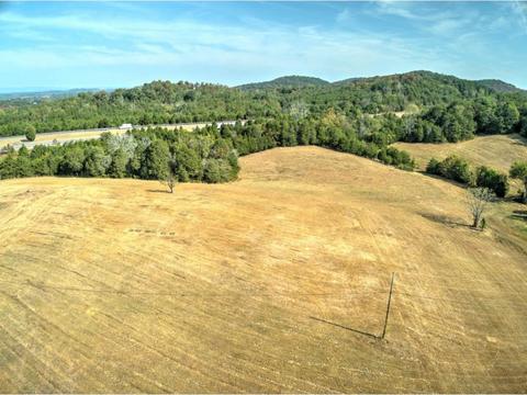 2825 Democrat Mohawk Tn 37810, Mohawk, TN 37810 photo 26