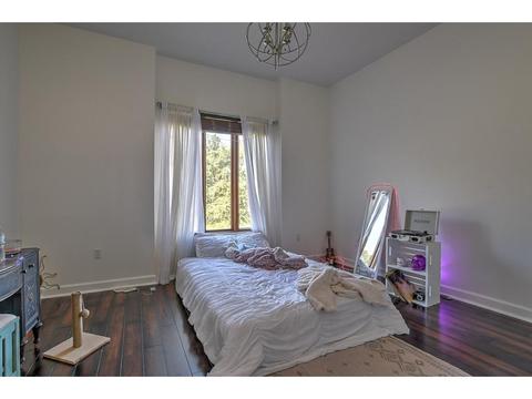 120 Mcafee Bluff Gray Tn 37615, Gray, TN 37615 photo 21