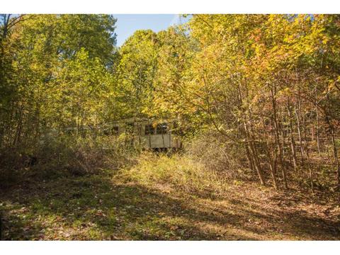 110 Bumblebee Lane Chuckey Tn 37641, Chuckey, TN 37641 photo 1
