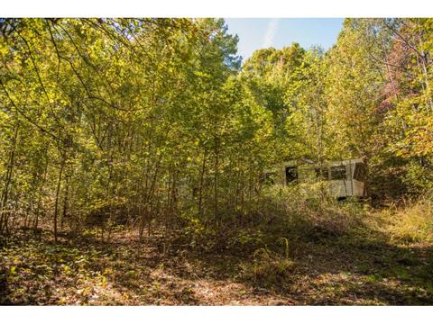 110 Bumblebee Lane Chuckey Tn 37641, Chuckey, TN 37641 photo 2