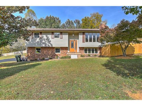 200 Forrest Road Fall Branch Tn 37656, Fall Branch, TN 37656 photo 33