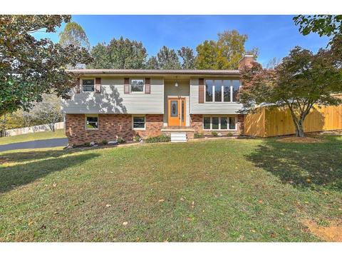 200 Forrest Road Fall Branch Tn 37656, Fall Branch, TN 37656 photo 2