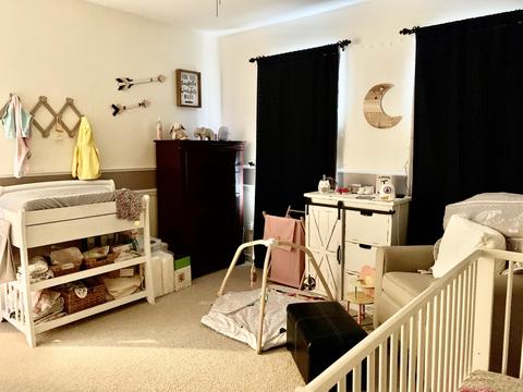 311 Post Oak Drive Johnson City Tn 37615, Johnson City, TN 37615 photo 54