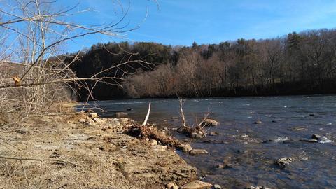 184 Bumpus Cove Road Erwin Tn 37650, Erwin, TN 37650 photo 5