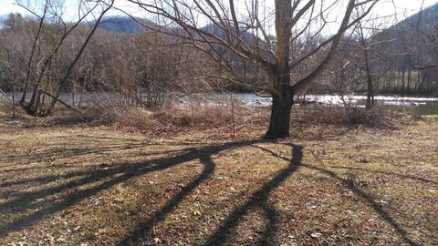 184 Bumpus Cove Road Erwin Tn 37650, Erwin, TN 37650 photo 13