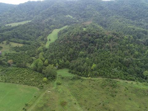 593 Clinch Valley Rd, Eidson, TN 37731 photo 1