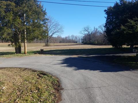 52 Crest Drive Greeneville Tn 37745, Greeneville, TN 37745 photo 24