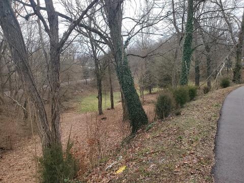 tbd Tall Oak Court Kingsport Tn 37663, Kingsport, TN 37663