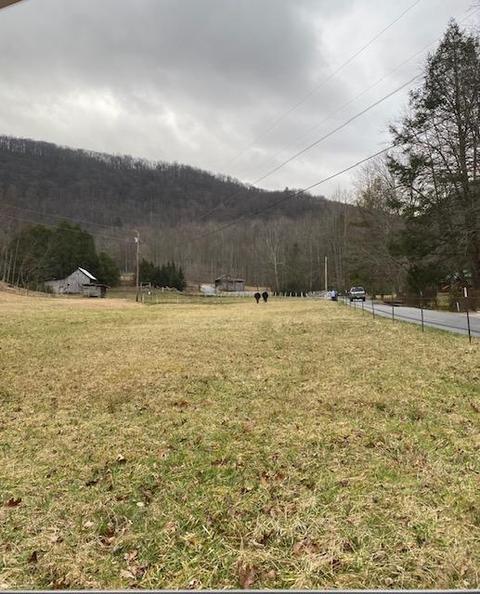 233 Falls Road Hampton Tn 37658, Hampton, TN 37658 photo 19
