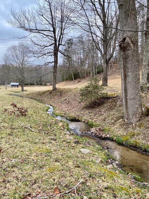 233 Falls Road Hampton Tn 37658, Hampton, TN 37658 photo 2