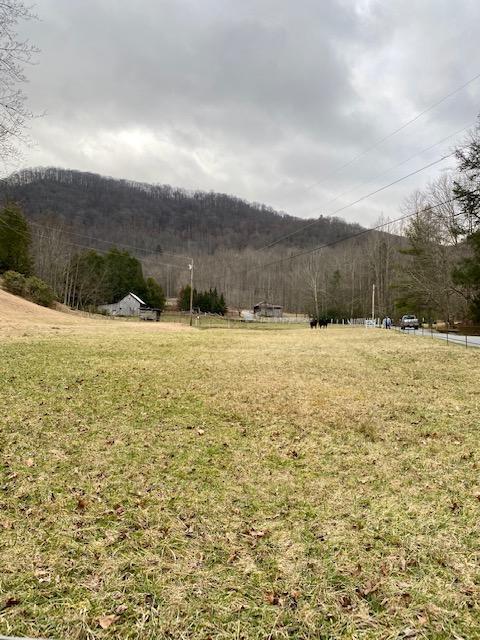 233 Falls Road Hampton Tn 37658, Hampton, TN 37658 photo 21