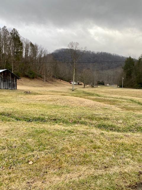 233 Falls Road Hampton Tn 37658, Hampton, TN 37658 photo 12