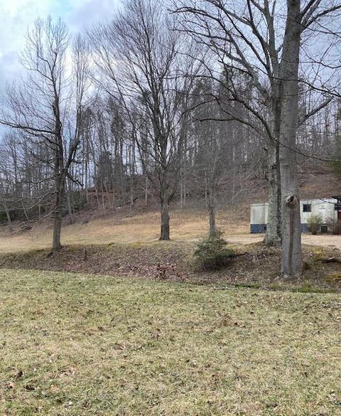 233 Falls Road Hampton Tn 37658, Hampton, TN 37658 photo 17