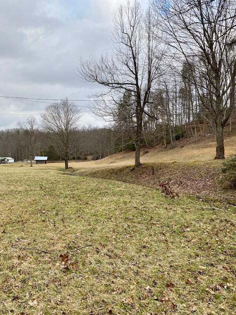233 Falls Road Hampton Tn 37658, Hampton, TN 37658 photo 20