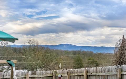 114 Skyview Drive Greeneville Tn 37745, Greeneville, TN 37745 photo 42