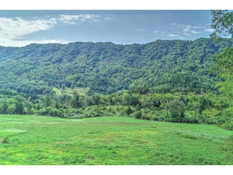 2519 Clinch Mountain Road Eidson Tn 37731, Eidson, TN 37731 photo 6