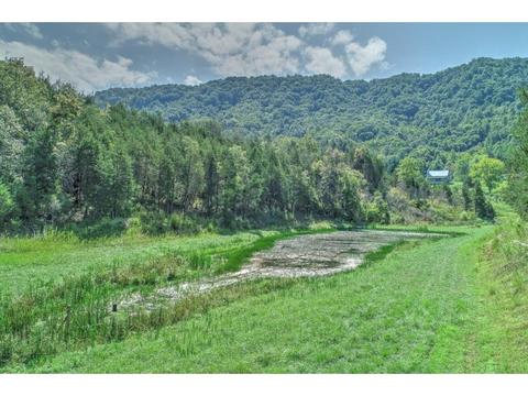 2519 Clinch Mountain Road Eidson Tn 37731, Eidson, TN 37731 photo 1