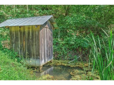 2519 Clinch Mountain Road Eidson Tn 37731, Eidson, TN 37731 photo 3