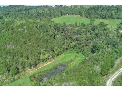 2519 Clinch Mountain Road Eidson Tn 37731, Eidson, TN 37731 photo 5