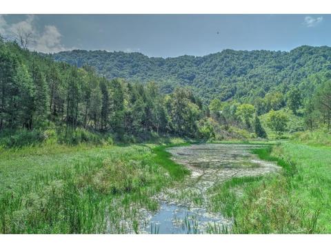 2519 Clinch Mountain Road Eidson Tn 37731, Eidson, TN 37731 photo 4