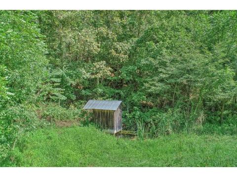 2519 Clinch Mountain Road Eidson Tn 37731, Eidson, TN 37731 photo 2