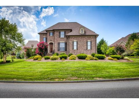 65 Sunset Meadows Court Gray Tn 37615, Gray, TN 37615 photo 1