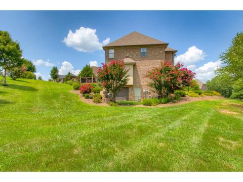 65 Sunset Meadows Court Gray Tn 37615, Gray, TN 37615 photo 34