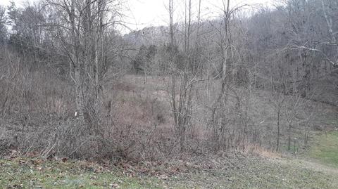 0 Gass Memorial Rd Greeneville Tn 37743, Greeneville, TN 37743
