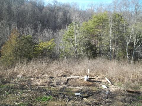 446 E Stagecoach Road Greeneville Tn 37743, Greeneville, TN 37743 photo 29