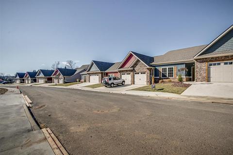 170 Hacker Martin Drive - Gray Tn 37615, Gray, TN 37615 photo 29