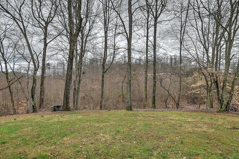 152 Ridge Circle Drive Fall Branch Tn 37656, Fall Branch, TN 37656 photo 34