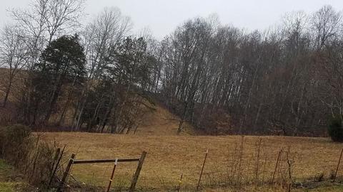 153 Lemons Road Eidson Tn 37731, Eidson, TN 37731 photo 28