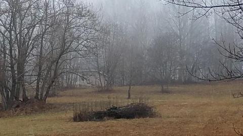 153 Lemons Road Eidson Tn 37731, Eidson, TN 37731 photo 26