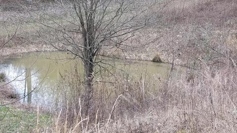 153 Lemons Road Eidson Tn 37731, Eidson, TN 37731 photo 38